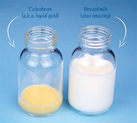 leaking colostrum at 32 weeks|Leaking Milk During Pregnancy: When and Why It Happens